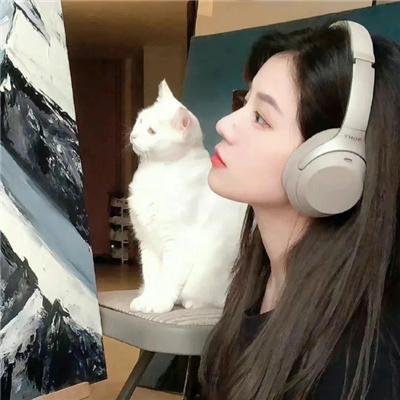 爆炸猫